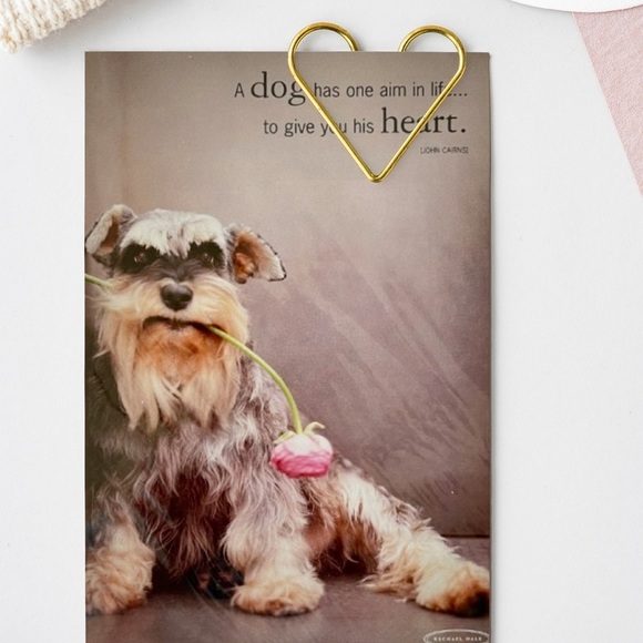 Rachael Hale Dog Stationary Greeting Card - Ziggy - Picture 1 of 4